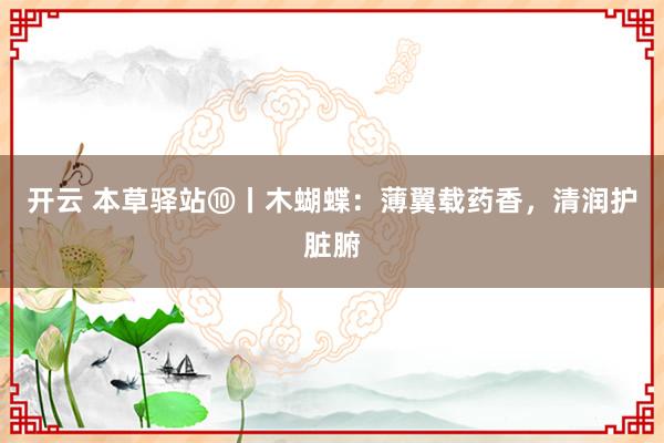 开云 本草驿站⑩丨木蝴蝶：薄翼载药香，清润护脏腑