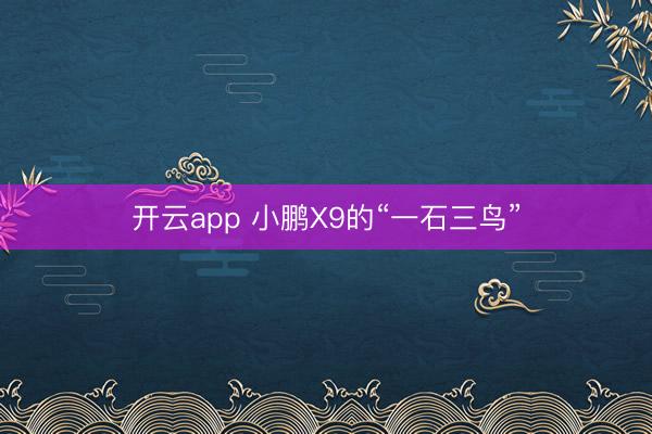 开云app 小鹏X9的“一石三鸟”
